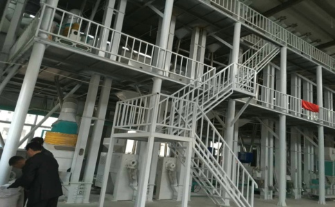 玉米加工厂家使用小型玉米加工机械有哪些优势呢?(图1)